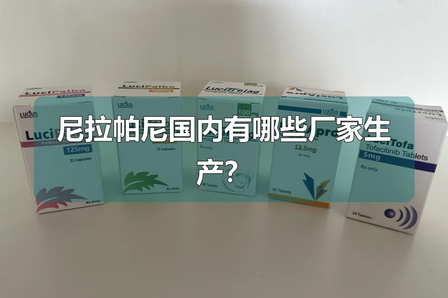 尼拉帕尼国内有哪些厂家生产？